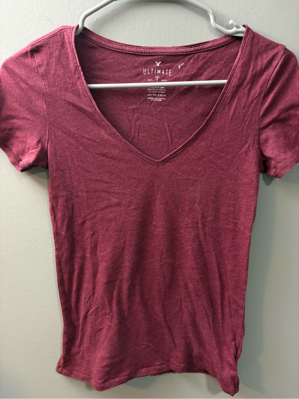 American Eagle Outfitters Short Sleeve V-Neck Tee in Berry